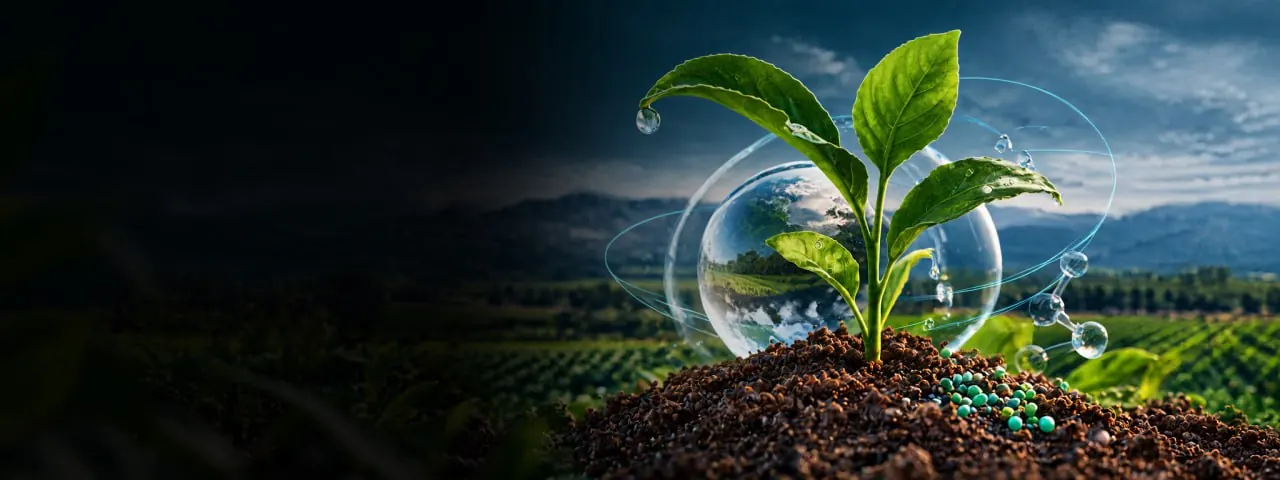 Green seedling in dark soil beside laboratory glassware